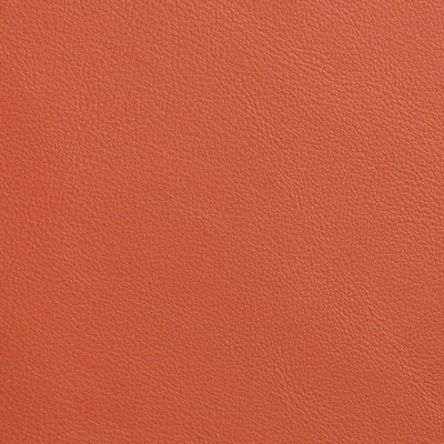 Garrett Leather Caressa Mango Leather in Caressa Leather Red Leather Fire Rated Fabric Solid Leather HIdes Italian Leather  Fabric