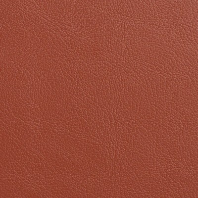 Garrett Leather Caressa Terracotta Leather in Caressa Leather Orange Leather Fire Rated Fabric Solid Leather HIdes Italian Leather  Fabric