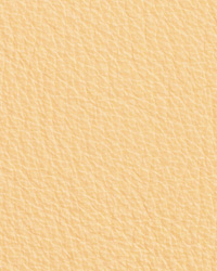Caressa French Vanilla Leather by   