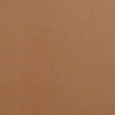 Garrett Leather Caressa Butternut Leather in Caressa Leather Yellow Leather Fire Rated Fabric Solid Leather HIdes Solid Leather HIdes Italian Leather  Fabric