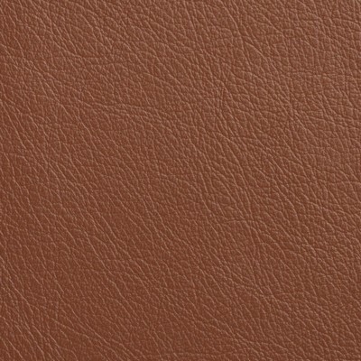 Garrett Leather Caressa Cognac Leather in Caressa Leather Brown Leather Fire Rated Fabric Solid Leather HIdes Italian Leather  Fabric