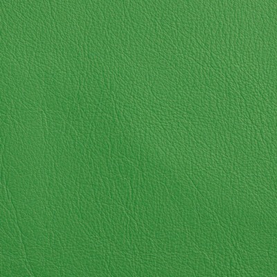 Garrett Leather Caressa Shamrock Leather in Caressa Leather Green Leather Fire Rated Fabric Italian Leather Solid Leather HIdes Solid Leather HIdes Italian Leather  Fabric