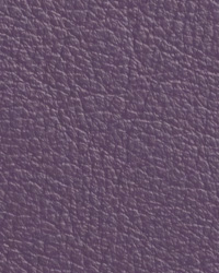 Caressa Royal Purple Leather by   