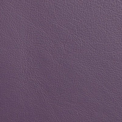 Garrett Leather Caressa Royal Purple Leather in Caressa Leather Purple Leather Fire Rated Fabric Solid Leather HIdes Italian Leather  Fabric