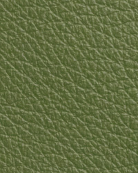 Caressa Rainforest Leather by   