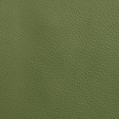 Garrett Leather Caressa Rainforest Leather in Caressa Leather Green Leather Fire Rated Fabric Italian Leather Solid Leather HIdes Solid Leather HIdes Italian Leather  Fabric