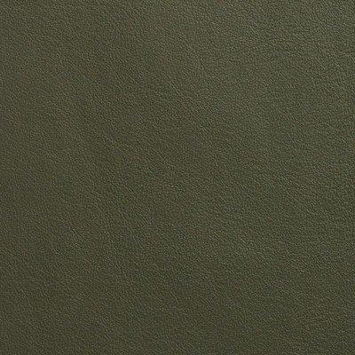 Garrett Leather Caressa Tuscan Leather in Caressa Leather Green Leather Fire Rated Fabric Solid Leather HIdes Italian Leather  Fabric