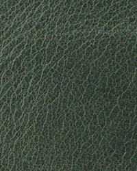 Distressed Verde Leather by   
