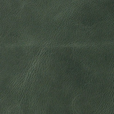 Garrett Leather Distressed Verde Leather in Distressed Leather Green Italian  Blend Fire Rated Fabric Distressed Leather Solid Leather HIdes Italian Leather  Fabric