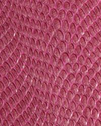 DiModa Cobra Rosa Leather by   