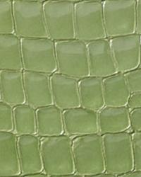 DiModa Gatora Mela Leather by   