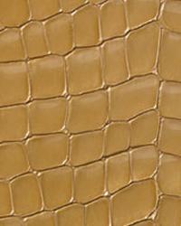 DiModa Gatora Oro Leather by   