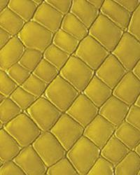 DiModa Gatora Senape Leather by   