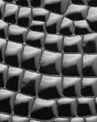 DiModa Gatora Nero Leather by   