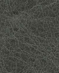 Distressed Anthracite by   