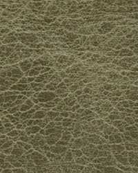 Distressed Fennel by   