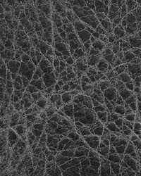 Distressed Night Sky by   