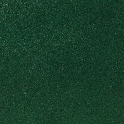 Garrett Leather Glazed Ivy Leather in Glazed Leather Green Italian  Blend Fire Rated Fabric Solid Leather HIdes Italian Leather  Fabric