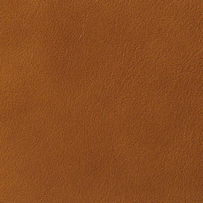 Garrett Leather Glazed Bourbon Leather in Glazed Leather Orange Italian  Blend Fire Rated Fabric Solid Leather HIdes Italian Leather  Fabric