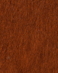 Capelli Hide Baio Leather by   