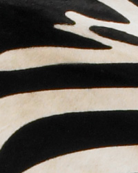 Capelli Hide Zebra Leather by   