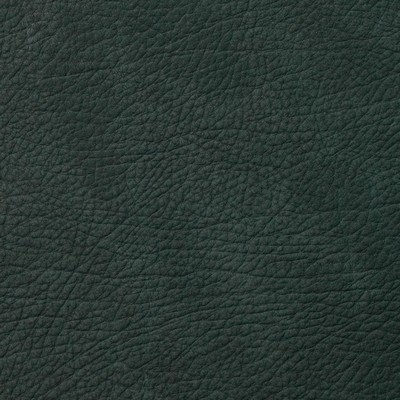 Garrett Leather Kenya Pine Leather in Kenya Leather Green Italian  Blend Fire Rated Fabric Solid Leather HIdes Italian Leather  Fabric