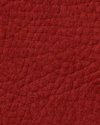 Kenya Brick Red Leather by   