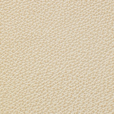 Garrett Leather Mystique Cashmere Leather in Mystique Leather White Hand-Tipped  Blend Fire Rated Fabric Italian Leather Solid Leather HIdes  Fabric