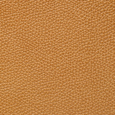 Garrett Leather Mystique Dijon Leather in Mystique Leather Yellow Hand-Tipped  Blend Fire Rated Fabric