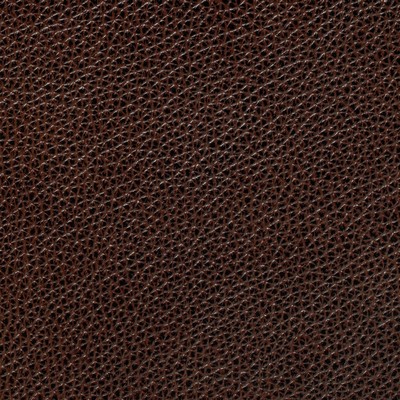Garrett Leather Mystique Bistre Leather in Mystique Leather Brown Hand-Tipped  Blend Fire Rated Fabric Italian Leather Solid Leather HIdes  Fabric