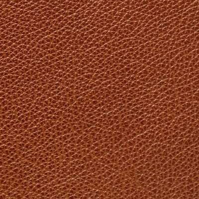 Garrett Leather Mystique Cedar Leather in Mystique Leather Red Hand-Tipped  Blend Fire Rated Fabric