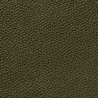 Garrett Leather Mystique Avocado Leather in Mystique Leather Green Hand-Tipped  Blend Fire Rated Fabric