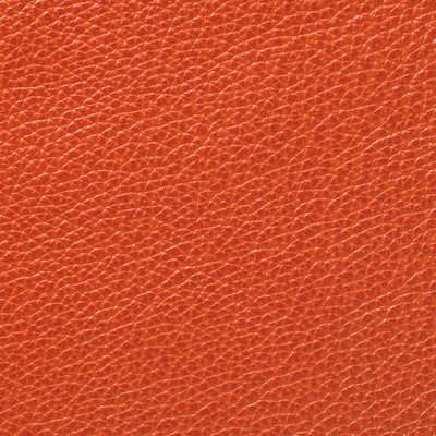 Garrett Leather Mystique Harvest Leather in Mystique Leather Orange Hand-Tipped  Blend Fire Rated Fabric