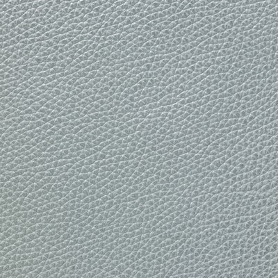 Garrett Leather Mystique Perle Leather in Mystique Leather Grey Hand-Tipped  Blend Fire Rated Fabric Italian Leather Solid Leather HIdes  Fabric
