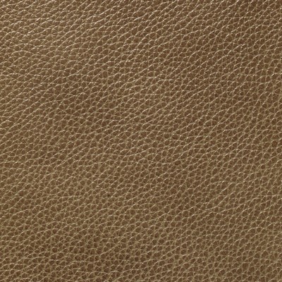 Garrett Leather Mystique Rustique Leather in Mystique Leather Orange Hand-Tipped  Blend Fire Rated Fabric
