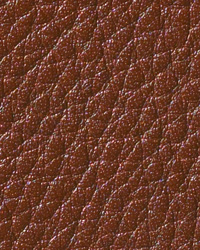 Newport Club Victoria Leather by   