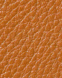 Newport Club Scotia Leather by   