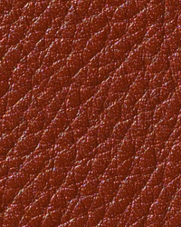 Newport Club Latour Leather by   