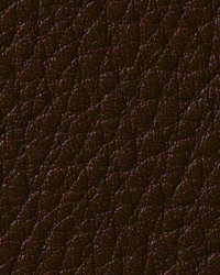 Newport Club Barrette Leather by   