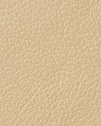Pearlessence Oyster Leather by   