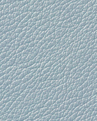 Pearlessence Frost Leather by   
