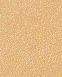 Pearlessence Cameo Leather by   