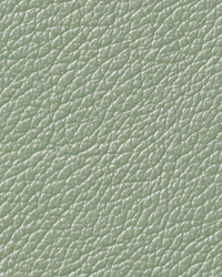 Pearlessence Spearmint Leather by   