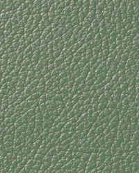 Pearlessence Tropic Leather by   
