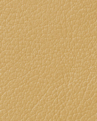 Pearlessence Gold Leather by   