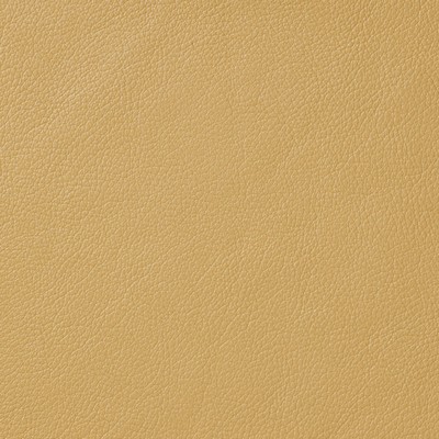 Garrett Leather Pearlessence Gold Leather in Pearlessence Upholstery Leather  Blend Fire Rated Fabric Italian Leather Solid Leather HIdes Solid Beige   Fabric