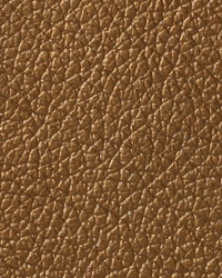 Pearlessence Bronze Leather by   