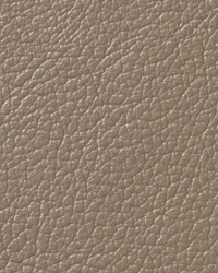 Pearlessence Iridium Leather by   