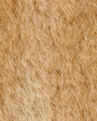 Sheepskin Amber by   