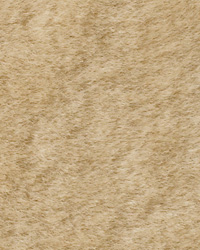 Sheepskin Beige by   